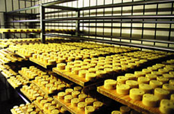 K&auml;serei Pott, Nieheim